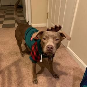 Meet your Posher, Amber